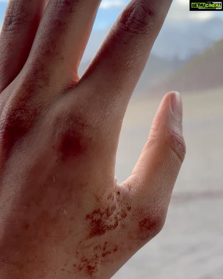 Adah Sharma Instagram - What gives you “cold feet” The snow mountains are calling me back !! Back to back 🥶😍🥰 that peak my feet are on we actually climbed it !!!!!! Some videos of our journey till where the car was allowed … the rest is in the movie ka look so I can’t share now …the scars on my hands are makeup 🤥🫠 P.S. pic 5 is what you should eat if you want to lose weight #100YearsofAdahSharma #adahsharma Leh Ladakh