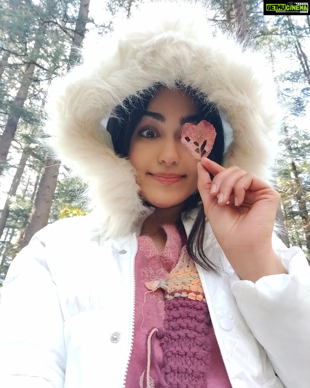 Adah Sharma Instagram - This is the only ❤️i could find here 🍃😂 Our #MeetCuteFilm trailer is out and it's all ❤️and will make you beLEAF in loveeee!! Have you seen it yet ? If you haven't...swipe to see how we are looking at u 😾 Hope to see you all soon at the promotions of this if I can sooon ! Otherwise sending lotsss of love and leaves ... . . . #100YearsOfAdahSharma #adahsharma Guess Where