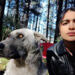 Adah Sharma Instagram - This is the only ❤️i could find here 🍃😂 Our #MeetCuteFilm trailer is out and it's all ❤️and will make you beLEAF in loveeee!! Have you seen it yet ? If you haven't...swipe to see how we are looking at u 😾 Hope to see you all soon at the promotions of this if I can sooon ! Otherwise sending lotsss of love and leaves ... . . . #100YearsOfAdahSharma #adahsharma Guess Where