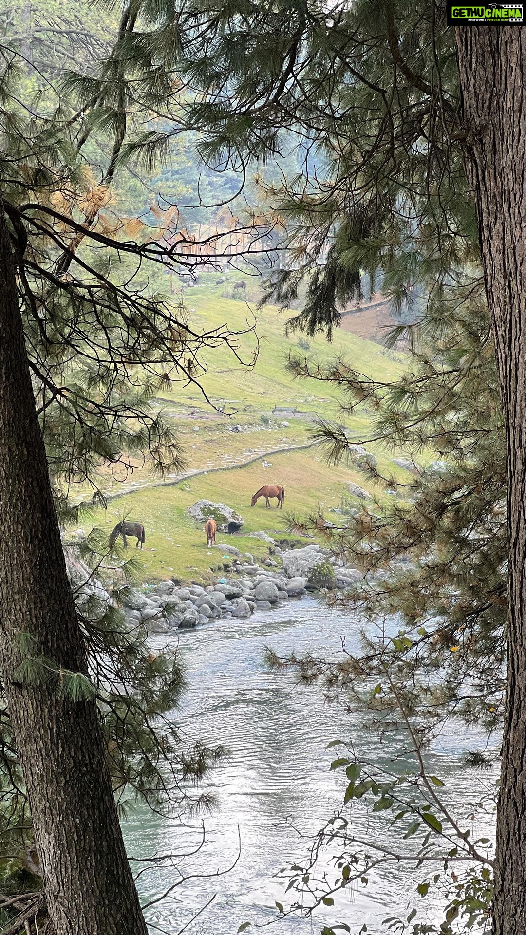 Ahana Kumar Instagram - ALL THE BEAUTY I SAW ft Kashmir ~ November 2022
