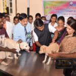 Amala Akkineni Instagram – On the occasion of World Veterinary Day, I  had a wonderful time visiting Sri Venkateshwara Veterinary University. I interacted with a wonderful, bright and inspired group of young people. Our states are in good veterinary hands! 
#worldveterinaryday Sri Venkateswara Veterinary University