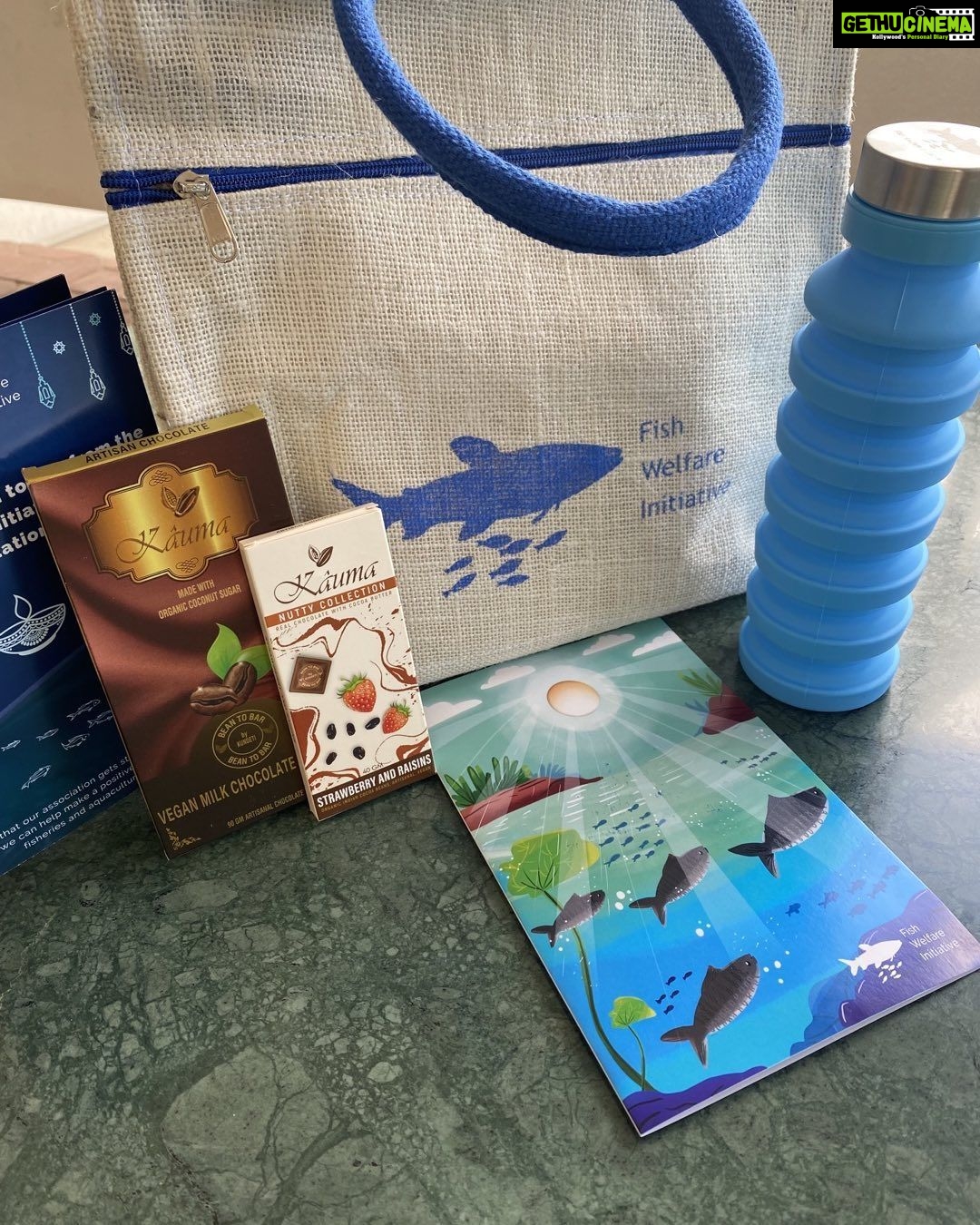 Amala Akkineni Instagram - Wishing the welfare of fish initiatives all the very best 🙏🏼. Thank you for your service! www.fishwelfareinitiative.org @fishwelfare