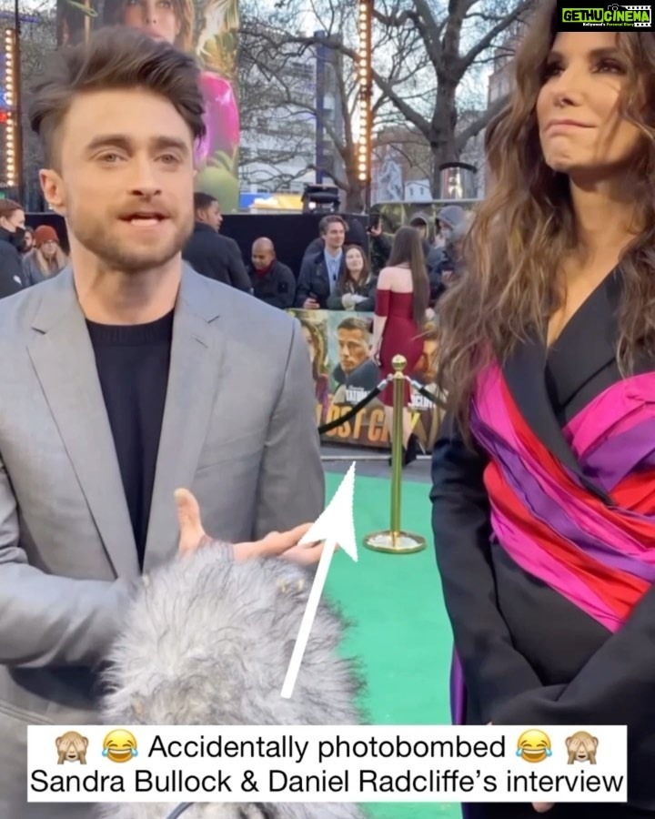 Amber Doig Thorne Instagram - Happy Sunday! What have you got planned this week? 🥰 Throwback to The Lost City UK Premiere 💖 This was one of my favourite films from 2022 so far - mainly because it is HILARIOUS, but also because… well… Channing Tatum 👀😍🍑 PS - Can we please appreciate Sandra Bullock & Channing’s chemistry because dayummmm 🙈🔥 Thank you @paramountuk for a lovely evening 💞 #filmpremiere #filmpremier #upcomingfilm #upcomingfilms #upcomingmovie #upcomingmovies #channingtatum #sandrabullock #danielradcliffe #bradpitt #lostcity #thelostcity #paramount #paramountuk #paramountpictures #paramountstudios #thelostcitymovie #newmovies #newmovie #newfilm #newfilms #weekendvibes #london #londonpremiere #londonpremier @lostcitymovie @channingtatum @paramountpics #channingtatumfans #sandrabullockedit #sandrabullockfan #danielradcliffe #danielradcliffeedit #danielradcliffefans Leicester Square, London