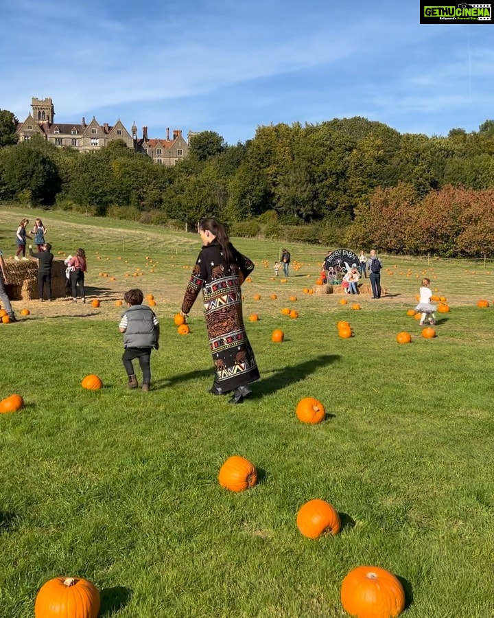 Amy Jackson Instagram - October in a pumpkin.