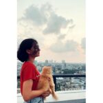 Anaswara Rajan Instagram – When I needed a hand, I found a paw! 
ZIMBA 🐾