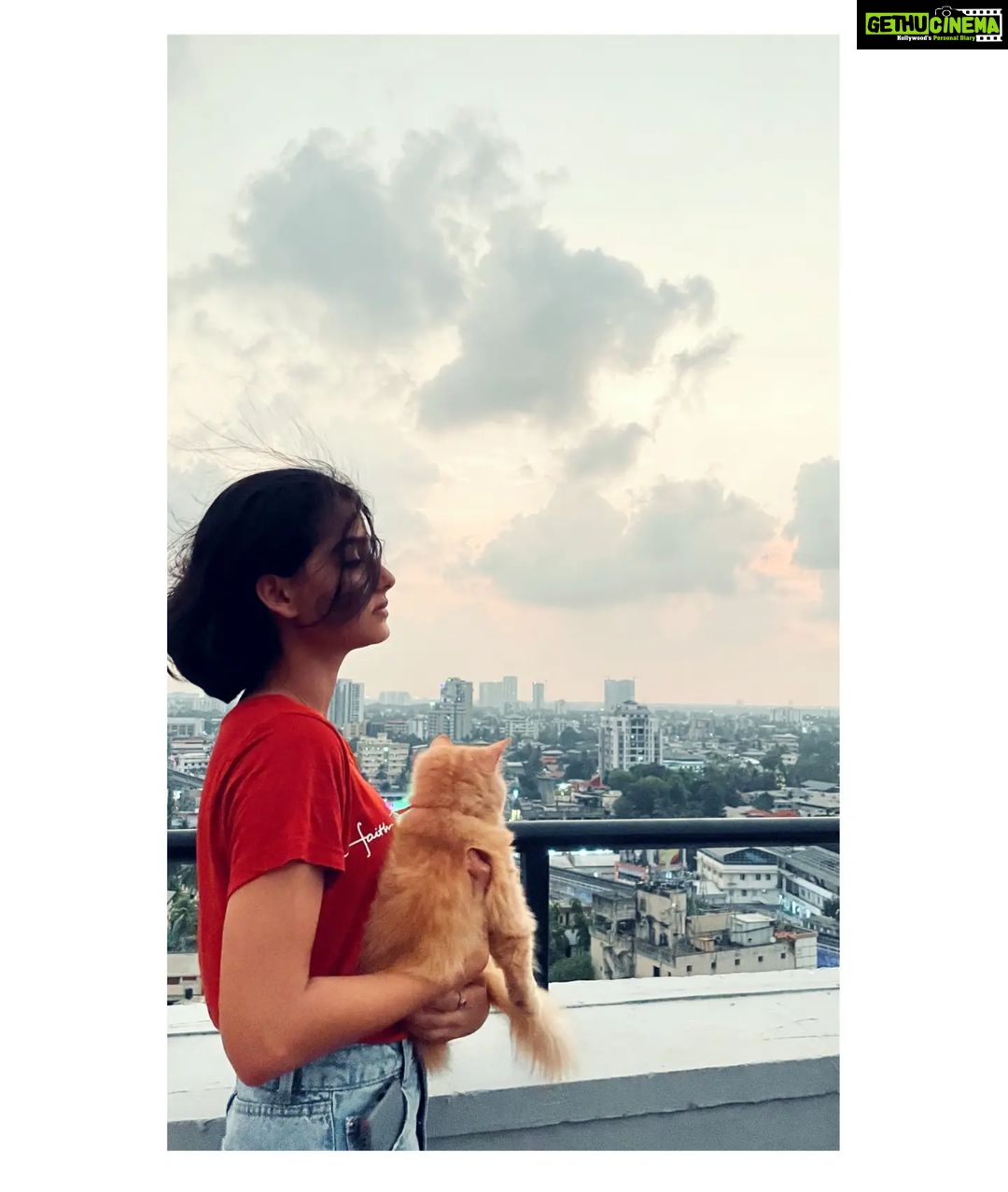 Anaswara Rajan - 141K Likes - Most Liked Instagram Photos