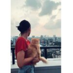 Anaswara Rajan Instagram – When I needed a hand, I found a paw! 
ZIMBA 🐾