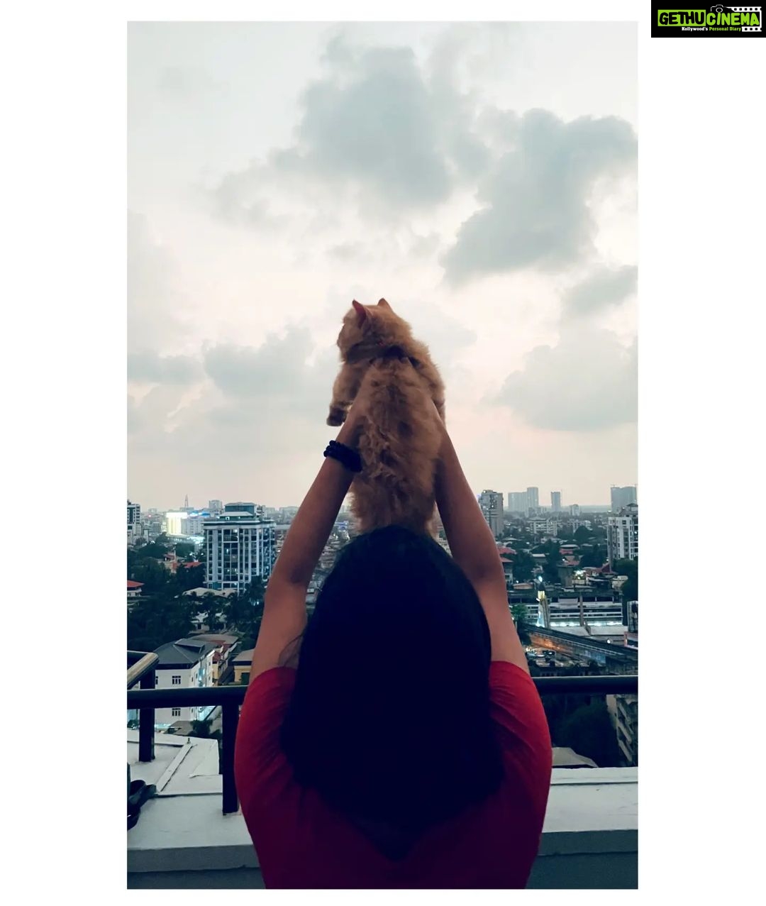 Anaswara Rajan - 141K Likes - Most Liked Instagram Photos