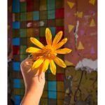 Anaswara Rajan Instagram - The golden hour☀️🍯🌼