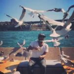 Antony Varghese Instagram - Birds in flight #blurrybutilovethis Sydney Opera House