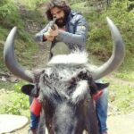 Antony Varghese Instagram - #shimladiaries #yakboy@shimla