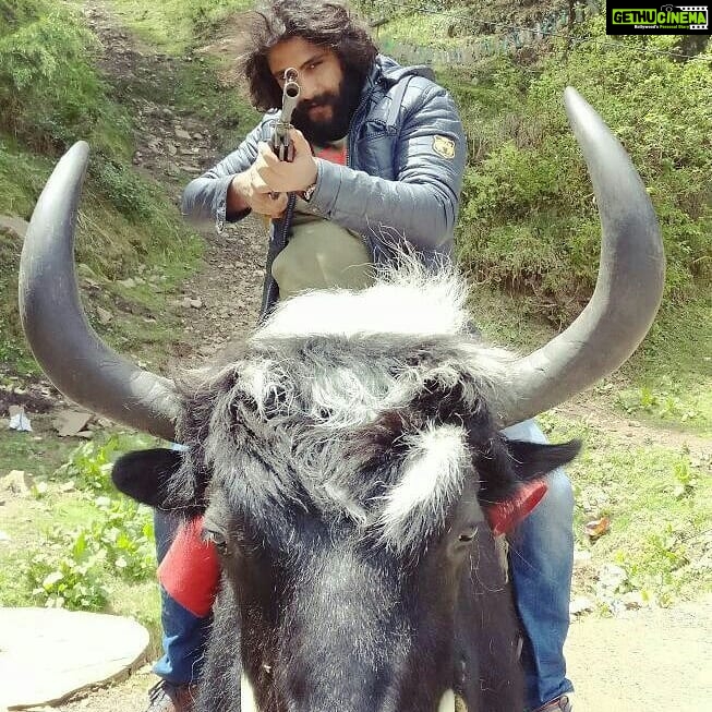 Antony Varghese Instagram - #shimladiaries #yakboy@shimla