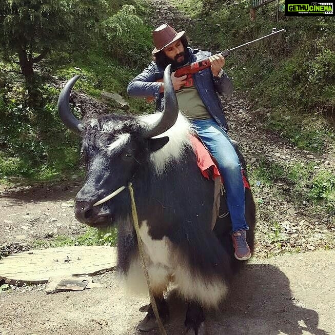 Antony Varghese Instagram - #shimladiaries #yakboy@shimla