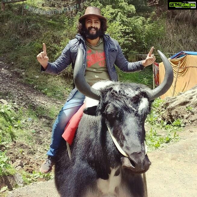 Antony Varghese Instagram - #shimladiaries #yakboy@shimla