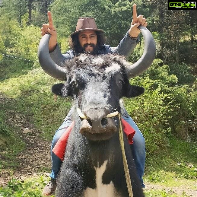 Antony Varghese Instagram - #shimladiaries #yakboy@shimla