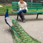 Archana Instagram - This magical GORGEOUS creature (of divine significance in our Indian scriptures too) of our universe has made some insane presence in my life in the pastv4 months - Thank you for your #love You #beauty #you #peacock #peacocks #divine #sopretty #lovely #krishna #lovelovelove #magic Beacon Hill Park Photos