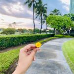 Asha Bhat Instagram - “To be a Flower is a profound responsibility.” - Emily Dickinson There, the perfection of art and the blind flux of nature. There, somehow, both transcendence and necessity. Could that be it — right there, in a flower — the meaning of life? #pickednotplucked