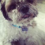 Bhavani Sre Instagram - Too much pampering for this face #spoiltbysisinlaw !
