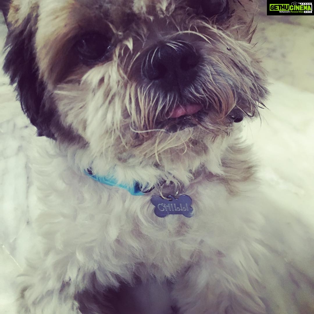 Bhavani Sre Instagram - Too much pampering for this face #spoiltbysisinlaw !