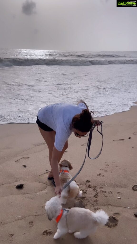 Daisy Shah Instagram - Dog mom life for life 🤣❤️ #reelitfeelit