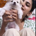 Deepa Thomas Instagram – If you are lucky, a dog will come into your life, steal your heart and change everything :) 💯🤍

Happy 1 year old Avaracha @the_avarachan