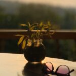 Deepa Thomas Instagram – Replacing “Why is this happening to me?” with “What is this trying to teach me?” is a game changer. Things happen for us to learn and grow from when we realise this our perspective shifts from disempowered to empowered 🌼

#sunsettingmoments #capturedbydt