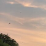 Deepa Thomas Instagram – I’ll give you the visuals and you give the music :) 

#skyisamiracle #beachwaves #natureisamiracle