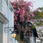 Deepa Thomas Instagram – 💕

#capturedbydt French Colony Pondicherry