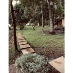 Deepa Thomas Instagram - I𝚗𝚍𝚎𝚎𝚍, 𝚝𝚑𝚒𝚜 𝚠𝚊𝚜 𝚊 𝚛𝚎𝚏𝚛𝚎𝚜𝚑𝚒𝚗𝚐 𝚍𝚊𝚢 ! Olam