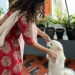 Deepa Thomas Instagram - If you are lucky, a dog will come into your life, steal your heart and change everything :) 💯🤍 Happy 1 year old Avaracha @the_avarachan