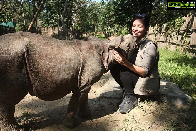 Dia Mirza Instagram - Happy 25th Birthday @wildlifetrustofindia ππ³π¦π―π These images are from my first visit to the CWRC in Assam along with you @vivek4wild. Having known you and worked with you now for 7 years i just want to say your existence helps improve the lives of many more than you can imagine. Including mine! I am richer for calling you my own. WildLife Trust of Indiaβs milestones are many! Here are a few. - Mapped all the 101 corridors used by Asian elephants in India, drew out a green-print to secure them and worked out four securement models. #GajYatra #GajMahotsav - Canopies, corridors and catchments of the Garo Green Spine protected using three flagship species in 16 Village Reserve Forests in the Garo Hills, Meghalaya. - Pioneered systematic wildlife rehabilitation as a tool for conservation in India in partnership with IFAW. -Raised consciousness of judiciary, enforcement agencies and public to the word `wildlife crimeβ and started a whole new arena of the fight against crime. - More than 16,000 wildlife staff of over 150 Protected Areas imparted Level 1 anti-poaching training. More than 20,000 frontline staff provided ex-gratia assurance against death or injury on duty. You can also be a part of their good work and support us to keep wild India #ForeverWild π Visit www.wti.org.in to know more! #WTI25 #WildLifeTrustOfIndia #ForPeopleForPlanet