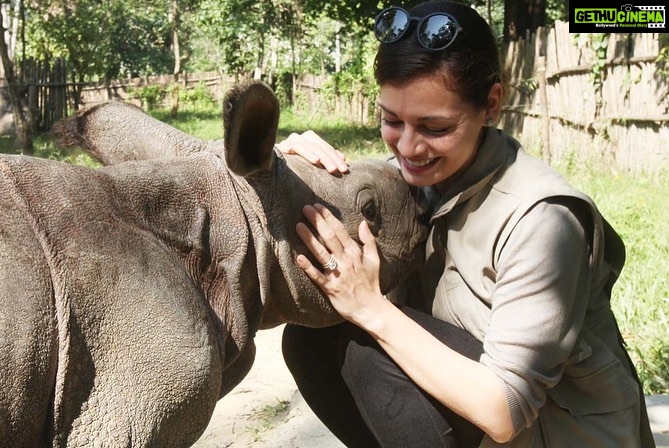Dia Mirza Instagram - Happy 25th Birthday @wildlifetrustofindia ππ³π¦π―π These images are from my first visit to the CWRC in Assam along with you @vivek4wild. Having known you and worked with you now for 7 years i just want to say your existence helps improve the lives of many more than you can imagine. Including mine! I am richer for calling you my own. WildLife Trust of Indiaβs milestones are many! Here are a few. - Mapped all the 101 corridors used by Asian elephants in India, drew out a green-print to secure them and worked out four securement models. #GajYatra #GajMahotsav - Canopies, corridors and catchments of the Garo Green Spine protected using three flagship species in 16 Village Reserve Forests in the Garo Hills, Meghalaya. - Pioneered systematic wildlife rehabilitation as a tool for conservation in India in partnership with IFAW. -Raised consciousness of judiciary, enforcement agencies and public to the word `wildlife crimeβ and started a whole new arena of the fight against crime. - More than 16,000 wildlife staff of over 150 Protected Areas imparted Level 1 anti-poaching training. More than 20,000 frontline staff provided ex-gratia assurance against death or injury on duty. You can also be a part of their good work and support us to keep wild India #ForeverWild π Visit www.wti.org.in to know more! #WTI25 #WildLifeTrustOfIndia #ForPeopleForPlanet