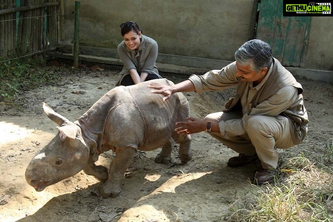 Dia Mirza Instagram - Happy 25th Birthday @wildlifetrustofindia ππ³π¦π―π These images are from my first visit to the CWRC in Assam along with you @vivek4wild. Having known you and worked with you now for 7 years i just want to say your existence helps improve the lives of many more than you can imagine. Including mine! I am richer for calling you my own. WildLife Trust of Indiaβs milestones are many! Here are a few. - Mapped all the 101 corridors used by Asian elephants in India, drew out a green-print to secure them and worked out four securement models. #GajYatra #GajMahotsav - Canopies, corridors and catchments of the Garo Green Spine protected using three flagship species in 16 Village Reserve Forests in the Garo Hills, Meghalaya. - Pioneered systematic wildlife rehabilitation as a tool for conservation in India in partnership with IFAW. -Raised consciousness of judiciary, enforcement agencies and public to the word `wildlife crimeβ and started a whole new arena of the fight against crime. - More than 16,000 wildlife staff of over 150 Protected Areas imparted Level 1 anti-poaching training. More than 20,000 frontline staff provided ex-gratia assurance against death or injury on duty. You can also be a part of their good work and support us to keep wild India #ForeverWild π Visit www.wti.org.in to know more! #WTI25 #WildLifeTrustOfIndia #ForPeopleForPlanet