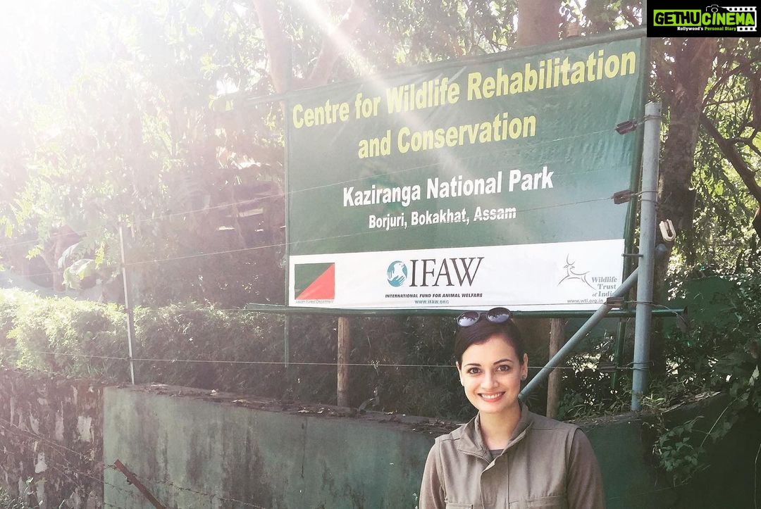 Dia Mirza Instagram - Happy 25th Birthday @wildlifetrustofindia ππ³π¦π―π These images are from my first visit to the CWRC in Assam along with you @vivek4wild. Having known you and worked with you now for 7 years i just want to say your existence helps improve the lives of many more than you can imagine. Including mine! I am richer for calling you my own. WildLife Trust of Indiaβs milestones are many! Here are a few. - Mapped all the 101 corridors used by Asian elephants in India, drew out a green-print to secure them and worked out four securement models. #GajYatra #GajMahotsav - Canopies, corridors and catchments of the Garo Green Spine protected using three flagship species in 16 Village Reserve Forests in the Garo Hills, Meghalaya. - Pioneered systematic wildlife rehabilitation as a tool for conservation in India in partnership with IFAW. -Raised consciousness of judiciary, enforcement agencies and public to the word `wildlife crimeβ and started a whole new arena of the fight against crime. - More than 16,000 wildlife staff of over 150 Protected Areas imparted Level 1 anti-poaching training. More than 20,000 frontline staff provided ex-gratia assurance against death or injury on duty. You can also be a part of their good work and support us to keep wild India #ForeverWild π Visit www.wti.org.in to know more! #WTI25 #WildLifeTrustOfIndia #ForPeopleForPlanet