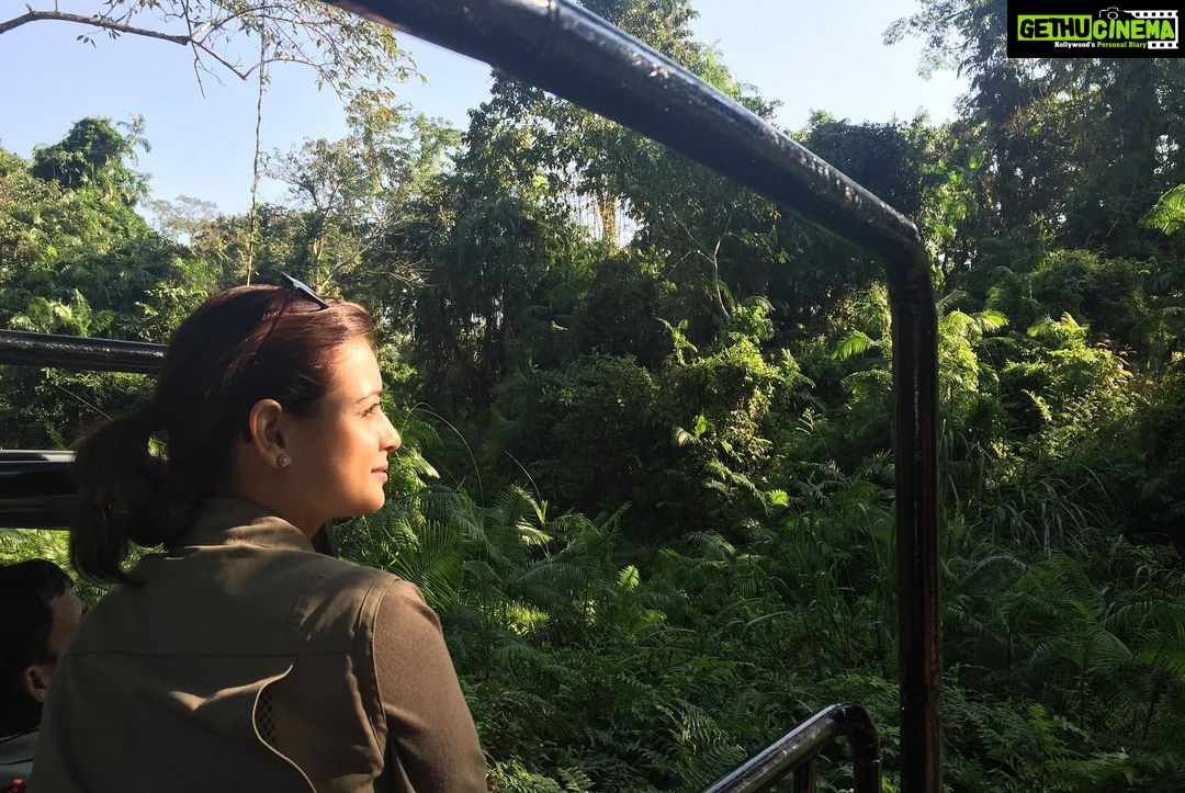 Dia Mirza Instagram - Happy 25th Birthday @wildlifetrustofindia ππ³π¦π―π These images are from my first visit to the CWRC in Assam along with you @vivek4wild. Having known you and worked with you now for 7 years i just want to say your existence helps improve the lives of many more than you can imagine. Including mine! I am richer for calling you my own. WildLife Trust of Indiaβs milestones are many! Here are a few. - Mapped all the 101 corridors used by Asian elephants in India, drew out a green-print to secure them and worked out four securement models. #GajYatra #GajMahotsav - Canopies, corridors and catchments of the Garo Green Spine protected using three flagship species in 16 Village Reserve Forests in the Garo Hills, Meghalaya. - Pioneered systematic wildlife rehabilitation as a tool for conservation in India in partnership with IFAW. -Raised consciousness of judiciary, enforcement agencies and public to the word `wildlife crimeβ and started a whole new arena of the fight against crime. - More than 16,000 wildlife staff of over 150 Protected Areas imparted Level 1 anti-poaching training. More than 20,000 frontline staff provided ex-gratia assurance against death or injury on duty. You can also be a part of their good work and support us to keep wild India #ForeverWild π Visit www.wti.org.in to know more! #WTI25 #WildLifeTrustOfIndia #ForPeopleForPlanet