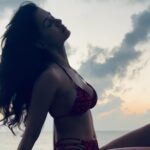 Disha Patani Instagram –