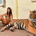 Eshanya Maheshwari Instagram – I just met the most magnificent creatures in the world 
Tiger 🐅 and cheetah 🐆 
At this beautiful and well managed @tigerkingdom_phuket 😍
They have soo many tigers , white tiger and cheetahs
to be honest I’m even scared of dogs 🙈 so I didn’t wanted to enter this place in the start but my friends pushed me, and staff at @tigerkingdom_phuket they made me so comfortable around tiger and cheetah 😅 they definitely have some rules which you have to maintain to experience the up close look of these gorgeous animals
So go visit  @tigerkingdom_phuket on your next visit to Phuket 

Wearing – @veromodaindia 
Travelling partner- @bonvoyage_escapes Tiger Kingdom Phuket