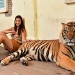Eshanya Maheshwari Instagram - I just met the most magnificent creatures in the world Tiger 🐅 and cheetah 🐆 At this beautiful and well managed @tigerkingdom_phuket 😍 They have soo many tigers , white tiger and cheetahs to be honest I’m even scared of dogs 🙈 so I didn’t wanted to enter this place in the start but my friends pushed me, and staff at @tigerkingdom_phuket they made me so comfortable around tiger and cheetah 😅 they definitely have some rules which you have to maintain to experience the up close look of these gorgeous animals So go visit @tigerkingdom_phuket on your next visit to Phuket Wearing - @veromodaindia Travelling partner- @bonvoyage_escapes Tiger Kingdom Phuket