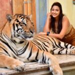 Eshanya Maheshwari Instagram - I just met the most magnificent creatures in the world Tiger 🐅 and cheetah 🐆 At this beautiful and well managed @tigerkingdom_phuket 😍 They have soo many tigers , white tiger and cheetahs to be honest I’m even scared of dogs 🙈 so I didn’t wanted to enter this place in the start but my friends pushed me, and staff at @tigerkingdom_phuket they made me so comfortable around tiger and cheetah 😅 they definitely have some rules which you have to maintain to experience the up close look of these gorgeous animals So go visit @tigerkingdom_phuket on your next visit to Phuket Wearing - @veromodaindia Travelling partner- @bonvoyage_escapes Tiger Kingdom Phuket