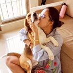 Gajala Instagram - I am mumma’s baby😍 @gazala24 . . . . . . . . . #bucketthebeagle #bucketbeagle #mummaboy #love #babyboy #unconditionallove #dogmom #beagle #gajala #gazala #instagram #foryou #instalike #reels #dogsofinstagram #doglover