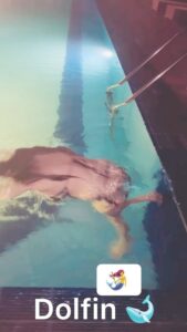Garima Jain Instagram - 🧜‍♀️ 🐬 💧 . . . . . . . #garimajain #kusukusu #kusukusuchallenge #water #inthepool #swimmingpool #swimming #dolfin #mermaid #fish #norafatehi #norafatehihot #bikini #bikinimodel #bikinifitness #bikinishoot #watersports #waterblog #trainingday #watertraining #openwaterswimming #openwater #diver #swimmer #swimlife #athlete #fitness #fitnessmodel #fitnessgirl #fitnessgoals In the Water