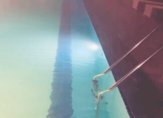 Garima Jain Instagram - 🧜‍♀️ 🐬 💧 . . . . . . . #garimajain #kusukusu #kusukusuchallenge #water #inthepool #swimmingpool #swimming #dolfin #mermaid #fish #norafatehi #norafatehihot #bikini #bikinimodel #bikinifitness #bikinishoot #watersports #waterblog #trainingday #watertraining #openwaterswimming #openwater #diver #swimmer #swimlife #athlete #fitness #fitnessmodel #fitnessgirl #fitnessgoals In the Water