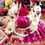 Garima Jain Instagram - May Maa Durga bless you with happiness, good health, and prosperity. . . . . . . #garimajain #officialgarimajain #navratri #navratrispecial #navmi #navmipooja #navratri2021 #2021 #happynavratri #durgapuja #durga #durgamaa #durgapujo #durgamata #duggadugga #pujo #pujovibes #pooja #dandiya #dandiyanight #dandiyanights #dandiyaraas #garba #garbanight #garbadance Ghar Par ;)