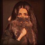 Garima Jain Instagram - Cat Eye . . . . . #garimajain #officialgarimajain #cateye #cat #catsofinstagram #nazar #cats #photography #eye #eyelashes Le Meriden Surat