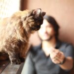 Gautham Karthik Instagram - My little princess, Luna ❤ 📸 @instrogrammer