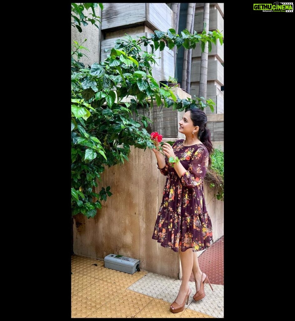 Giaa Manek Instagram - Water your roots so that your soul can blossom . . . . #rosemallow #monday #mondaymotivation