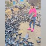 Gurleen Chopra Instagram – MERE PYARE CUTE KABOOTAR 🦅 …