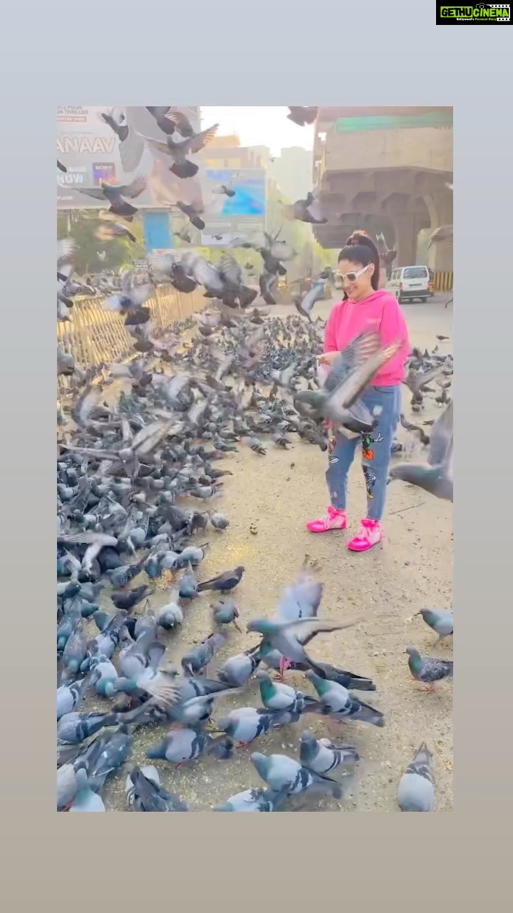 Gurleen Chopra Instagram - MERE PYARE CUTE KABOOTAR 🦅 …