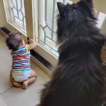 Harija Instagram - Zuzu and Avu ♥️ from the day one zuzu met him... She became his godmother... Their love for each other is seen in each scenario right from protecting him lik an angel to playing with him by not harming him .... I remember he was around 2 months old he was sleeping and i thought before he could wake ..let me have a quick shower... But Asusual babies know wen to cry and it wasn't audible becoz of the grinders noise .... Surprisingly someone was knocking at my bathroom door and i could hear zuzu meowing and scratching the door with some instinct i immediately changed and opened the door zuzu gave me this emergency look i immediately i ran patted him and put him to sleep... That day i understood her love for him.. how she was able to understand oh avu is crying i have to call amma.. my god it is beyond explanations(fact)... Kind note i was also initially a little bit scared like all the animal parent becoz v don't know how our pets will accept or react to babies ... But she proved me wrong i know it will not be the same for everyone... Once v realise their bond thru some instance v will get it💓... Just felt lik sharing this beautiful story ... Note - people who don't believe in touching or kissing animals just ignore this post ... Pl don't waste ur time educating me #catlover #zuzu #avu #animallove #pure #soulful