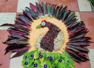 Harija Instagram - Did these with flowers and leaves from my Garden. I was upset that I didn't have any flowers.. then the artist in me slapped me with a string of ideas 😅 Happy Onam 🌷❇️🏵️🌸 Make the Most out of Everything Adapt, Improvise, Overcome👍😍 #onam #flowers🌸